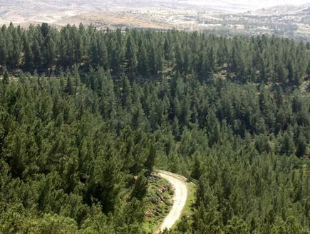 ياغوروف شاليه Yavneʼel المظهر الخارجي الصورة